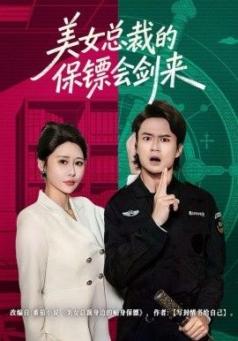 美女总裁的保镖会剑来(全集)