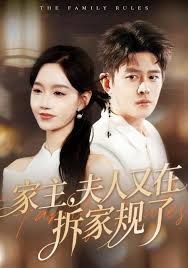 家主，夫人又在拆家规了(全集)