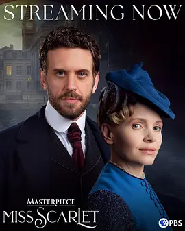 斯嘉丽小姐探案集第六季