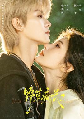 野草疯长二(全集)